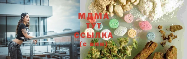 молекула духа Пересвет