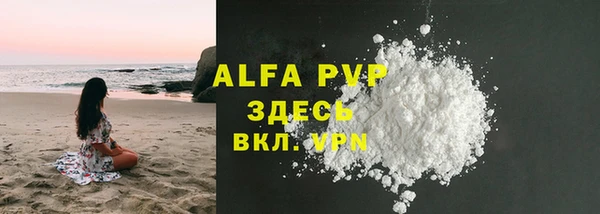 молекула духа Пересвет