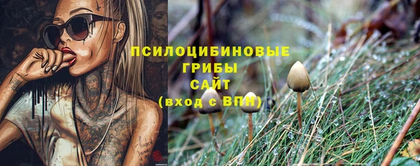 MDMA Premium VHQ Грязи