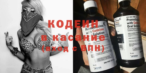 молекула духа Пересвет