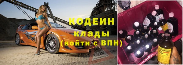 молекула духа Пересвет