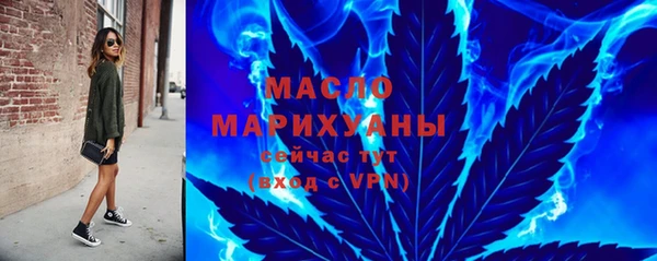 молекула духа Пересвет